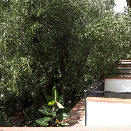 Santa Clara 3* Marina di Camerota